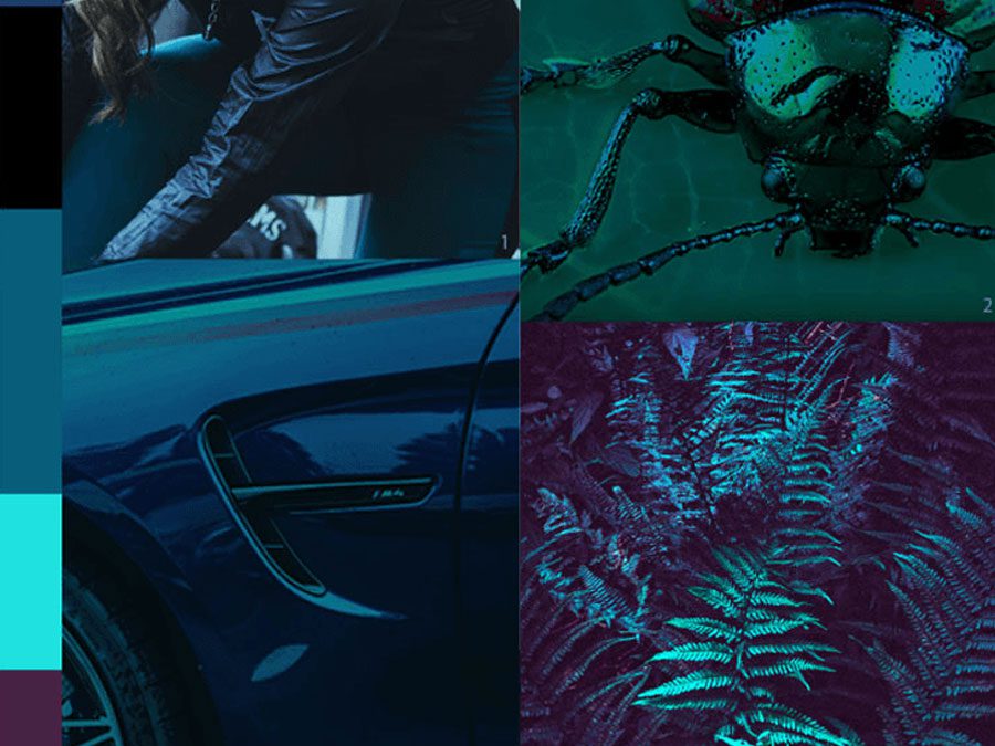 A/W 19/20 Active moodboard DIGITAL DARKNESS