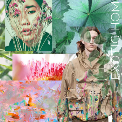 EXOTIC HOME Active moodboard S/S 2021