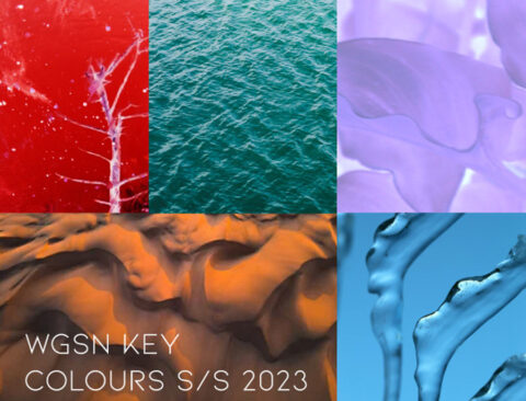 Colour Trend WGSN S/S 2023 - moject